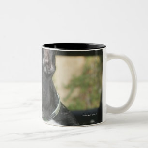 Taza Bicolor Perro en coche
