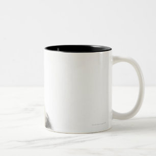 Taza Bicolor Perro en el blanco 104