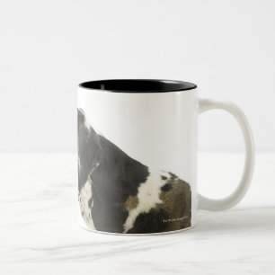Taza Bicolor Perro en el blanco 11