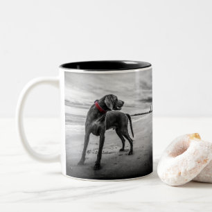 Taza Bicolor Perro en la playa Foto en blanco y negro con colla