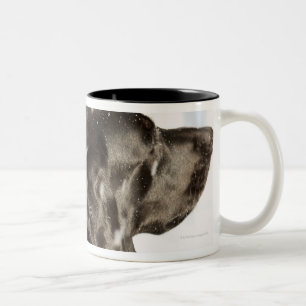 Taza Bicolor Perro en nieve
