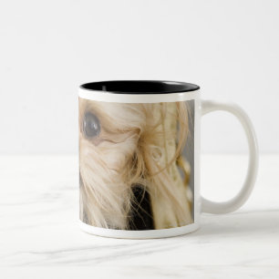 Taza Bicolor Perro en un monedero