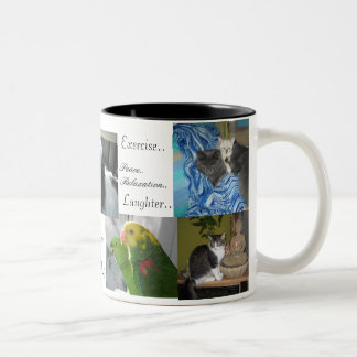 Taza Bicolor Perro, gatos, pájaros, mejores amigos