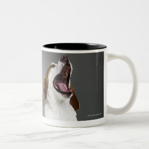 Taza Bicolor Perro mezclado que bosteza, primer de la raza