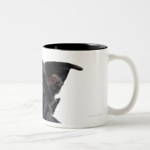 Taza Bicolor Perro negro