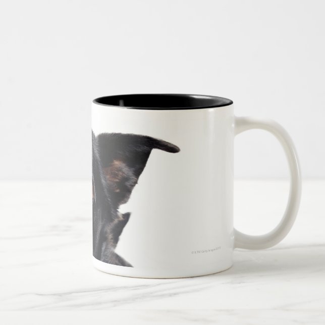 Taza Bicolor Perro negro (Derecha)