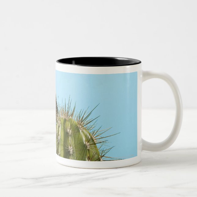 Taza Bicolor Perro que lame el cactus, primer (Derecha)