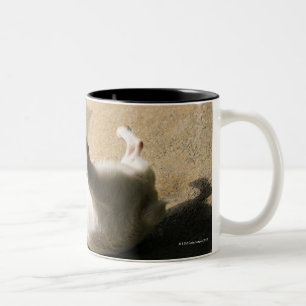 Taza Bicolor Perro que miente en el piso