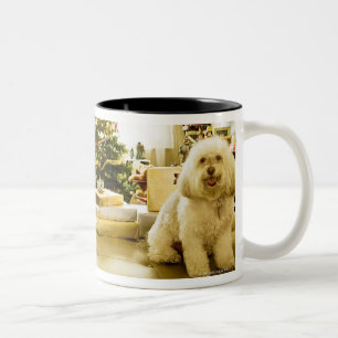 Taza Bicolor perro que presenta delante del árbol de navidad