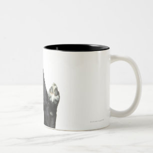 Taza Bicolor Perro que se sienta con las patas para arriba