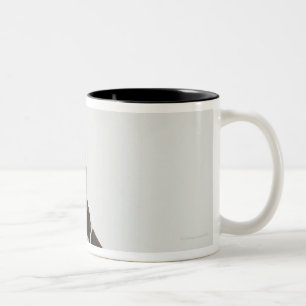Taza Bicolor Perro que se sienta con una tiara en la cabeza