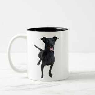 Taza Bicolor Perros de Carlos