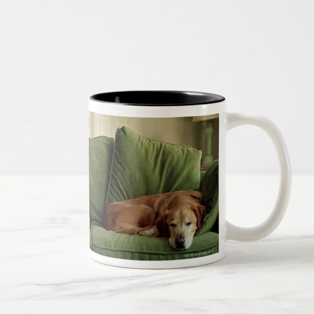 Taza Bicolor Perros que duermen en el sofá (Derecha)