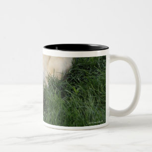 Taza Bicolor Persiga la colocación upside-down en hierba con l