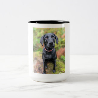 Taza Bicolor Personalizado Mug- Regalos de último minuto por de