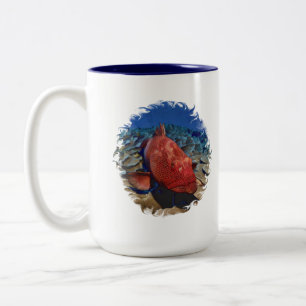 Taza Bicolor Pescado De Grupo Sobre El Coral