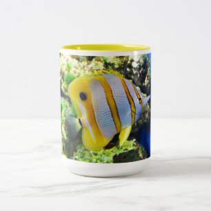 Taza Bicolor Pescado mariposa