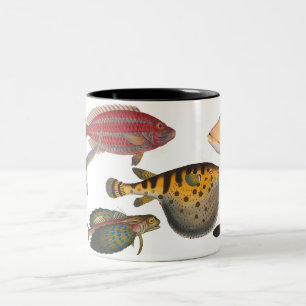 Taza Bicolor Pescados