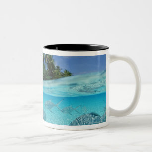Taza Bicolor Pescados en el mar