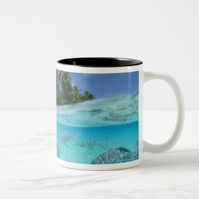 Taza Bicolor Pescados en el mar (Derecha)
