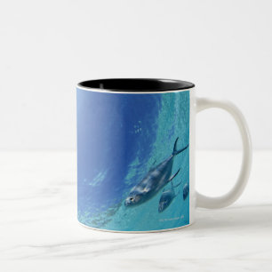 Taza Bicolor Pescados en el mar