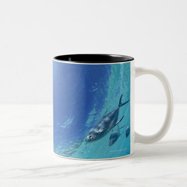 Taza Bicolor Pescados en el mar (Derecha)
