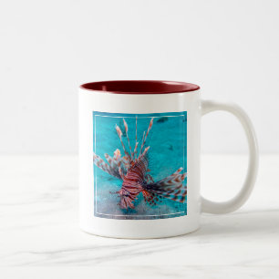 Taza Bicolor Pescados rojos hermosos del león
