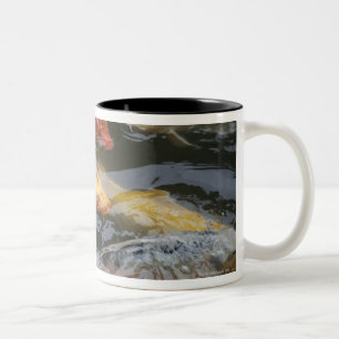 Taza Bicolor Pescados tímidos