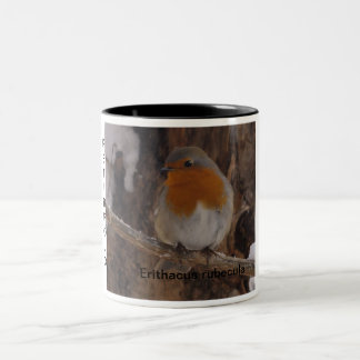 TAZA BICOLOR PETIRROJO