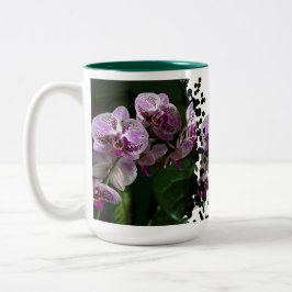 Taza Bicolor Phalaenopsis