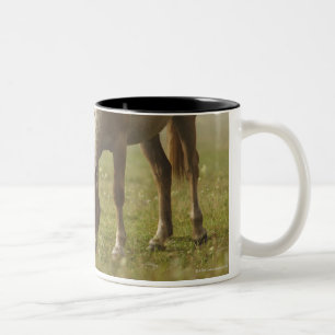 Taza Bicolor piano de la niebla de la mañana del prado del