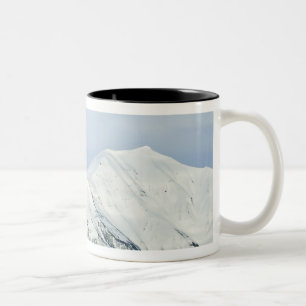 Taza Bicolor Picos nevados Woodfjord Svalbard 2