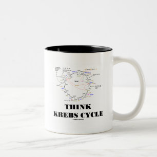 Taza Bicolor Piense el ciclo de Krebs (ciclo de ácido cítrico -