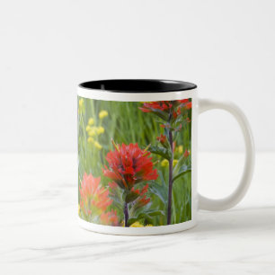 Taza Bicolor Pincel indio y flores silvestres de raíz bizcocho