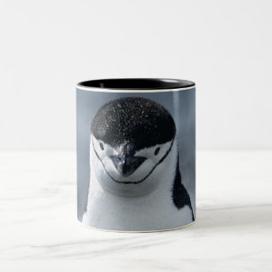 Taza Bicolor Pingüino de Chinstrap