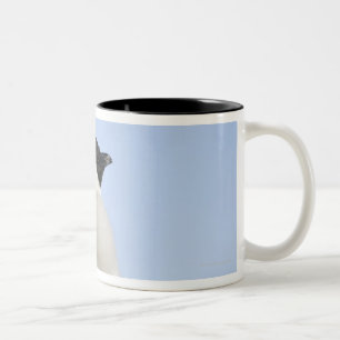 Taza Bicolor Pingüino de emperador del bebé, isla de la colin