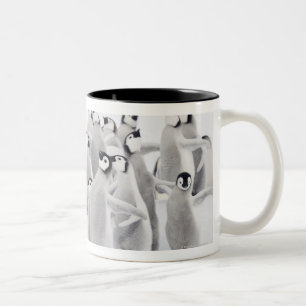 Taza Bicolor Pingüino de emperador (forsteri del Aptenodytes)