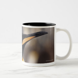 Taza Bicolor Pingüino de rey (patagonicus del Aptenodytes)
