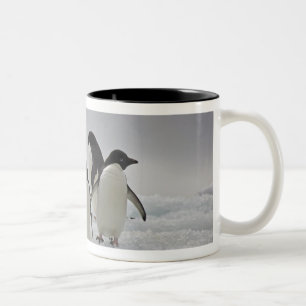 Taza Bicolor Pingüinos de Adelie en flujos del hielo