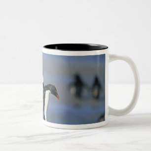 Taza Bicolor Pingüinos saltarrocas, Eudyptes chrysocome),