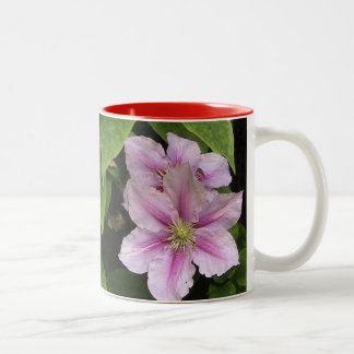 Taza Bicolor PInk Lily ( Clematis)