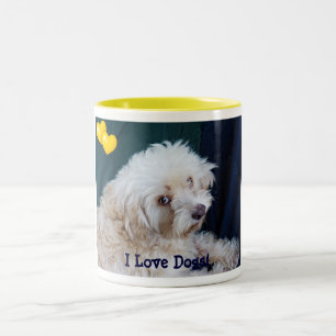 Taza Bicolor Pino el amor del cutie I de la piña persigue la