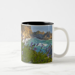 Taza Bicolor Pintoresca McWay Falls cae en la playa y