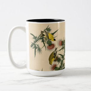 Taza Bicolor Pintura de pájaro de la vieja auduónica americana 