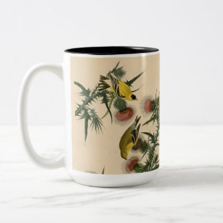 Taza Bicolor Pintura de pájaro de la vieja auduónica americana 