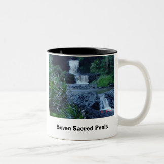 Taza Bicolor Piscinas sagradas, siete piscinas sagradas, siete
