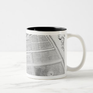 Taza Bicolor Plan del jardín real