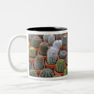 Taza Bicolor Plantas de cactus