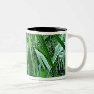 Taza Bicolor Plantas tropicales en la charca de la sal