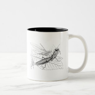 Taza Bicolor Plantilla del insecto de la mantis religiosa del